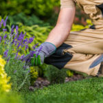 gardener
